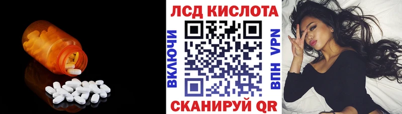 блэк спрут как зайти  Олонец  Лсд 25 экстази ecstasy  продажа наркотиков 