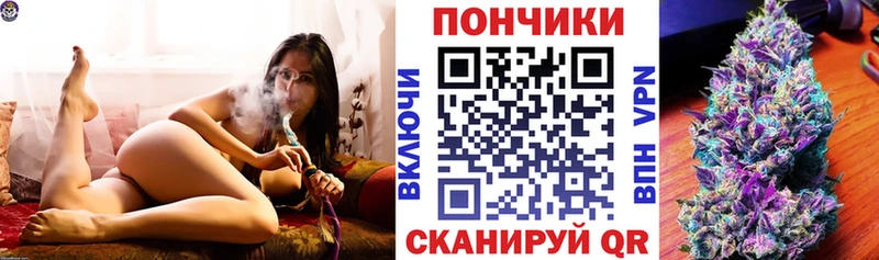 купить наркотики цена  блэк спрут ONION  МАРИХУАНА LSD WEED  Олонец 